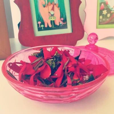 My homemade #potpourri #redrose #lavendermint #rosemary #DIY #organic #summer When the air conditioner comes on it’s like 💨🍃🌿🌾🌹🌹😃 💓