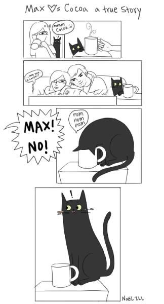 Max the cat loves cocoa