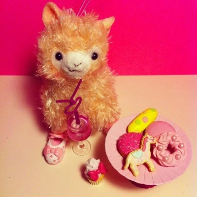 My little #alpacasso 😋 #cute #kawaii #japan #noelill #pastelcolors #pink #miniatures #love #sherbert #sweets #dessert #cookies #donut